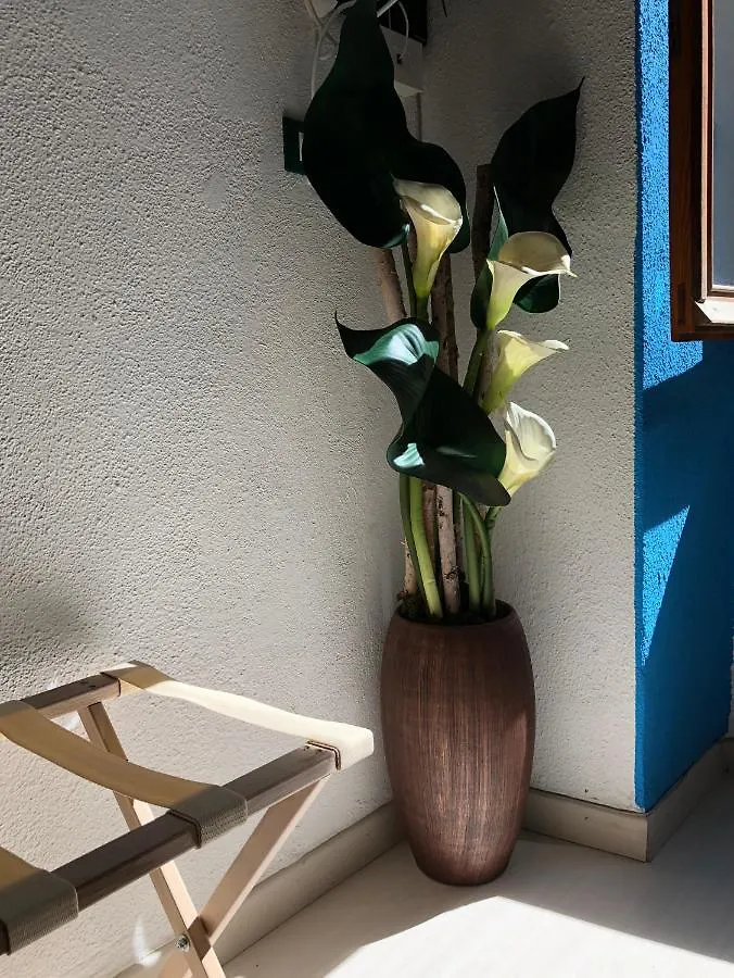 La Polena Camere Vernazza - Visconti Apartment 0*,  Italia